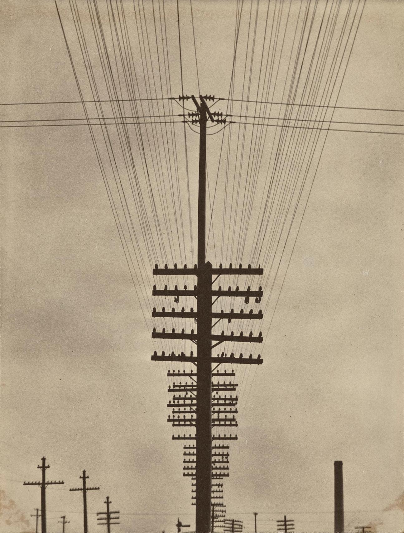 Tina Modotti, Telegraph Wires, circa 1925.