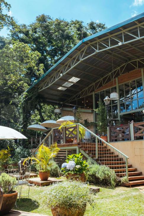 Garden of The Fig and Olive, Kenya
