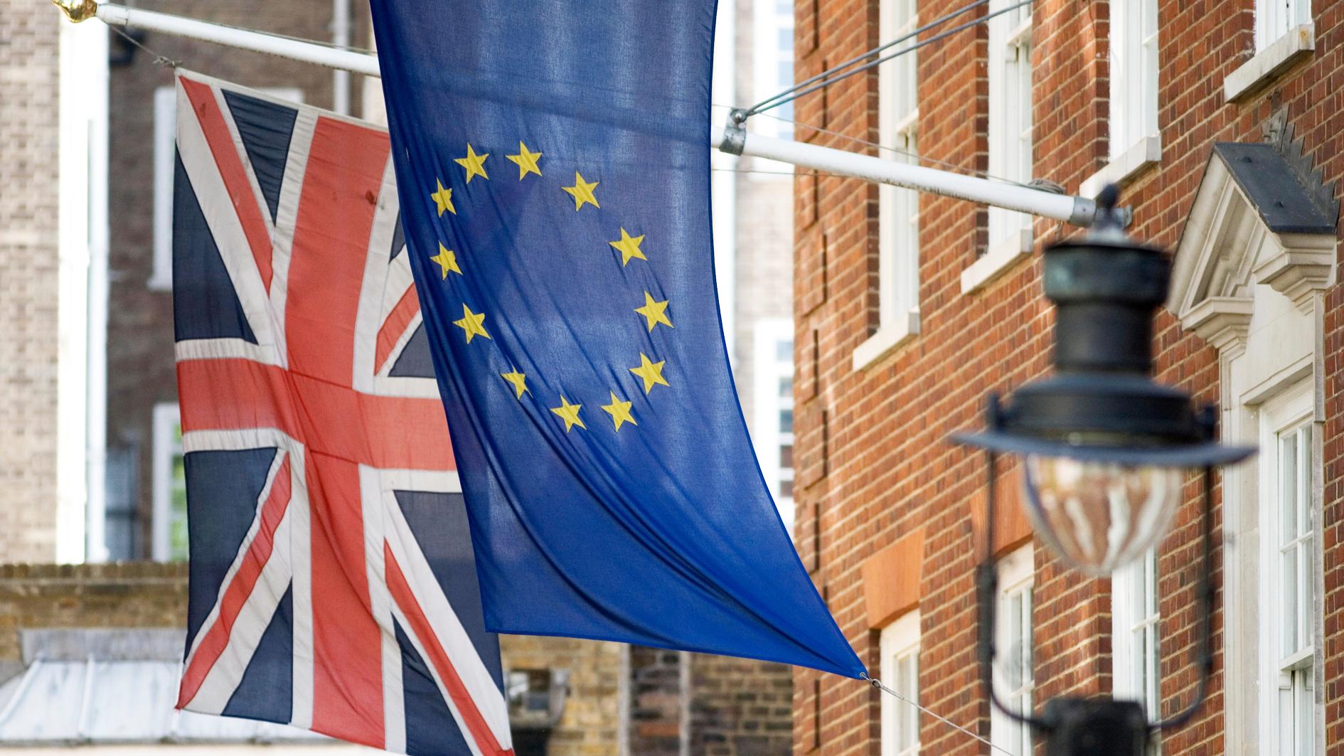 Brexit: in or out?