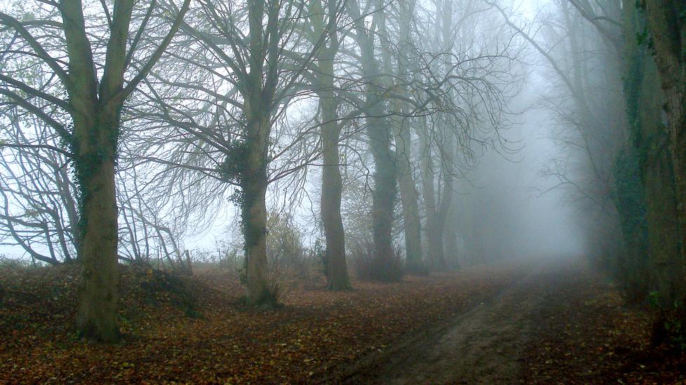What is folk horror?