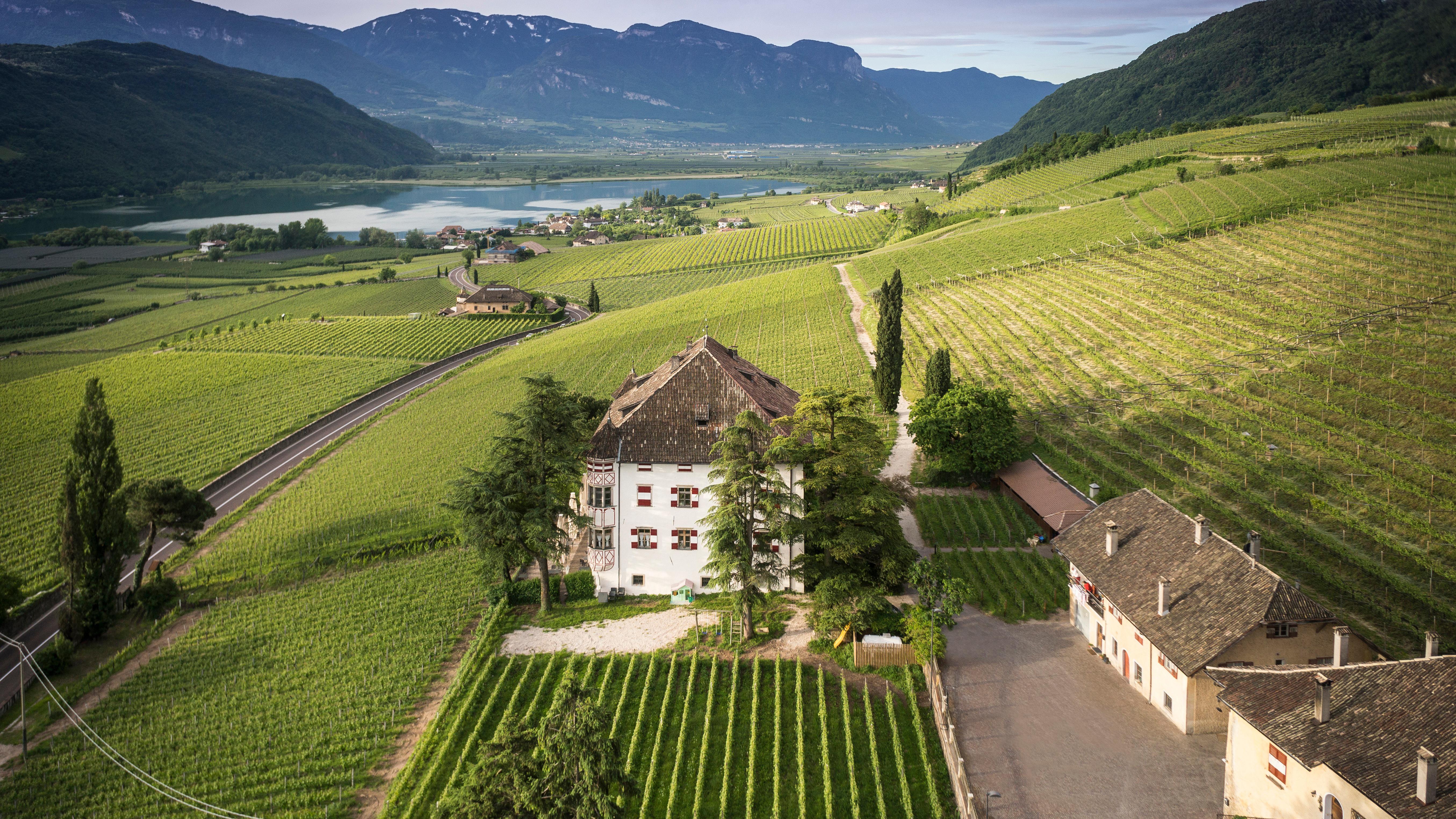 Wine from the Italian Alps