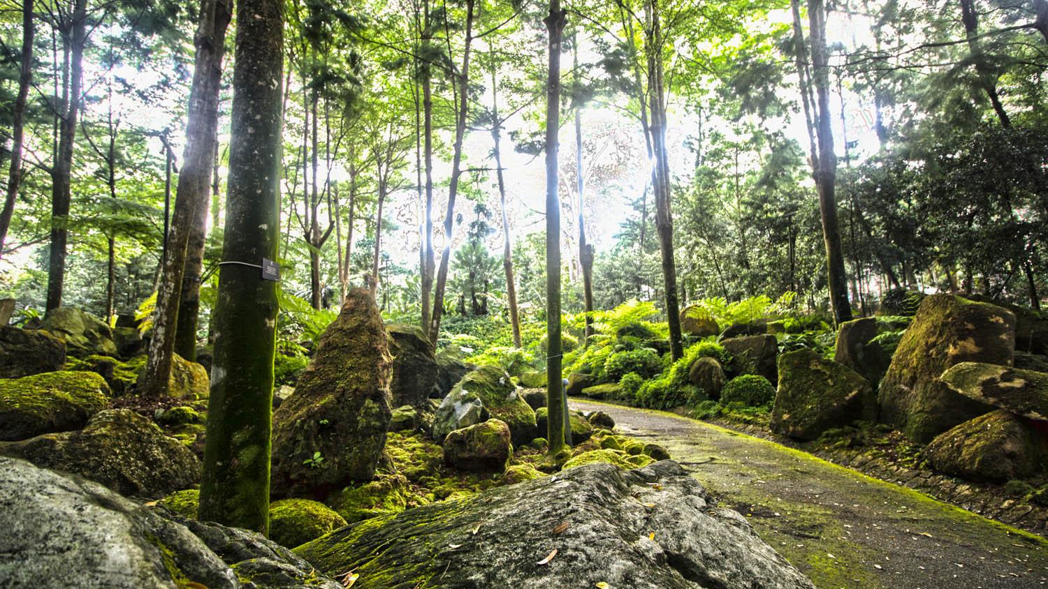 Green spaces