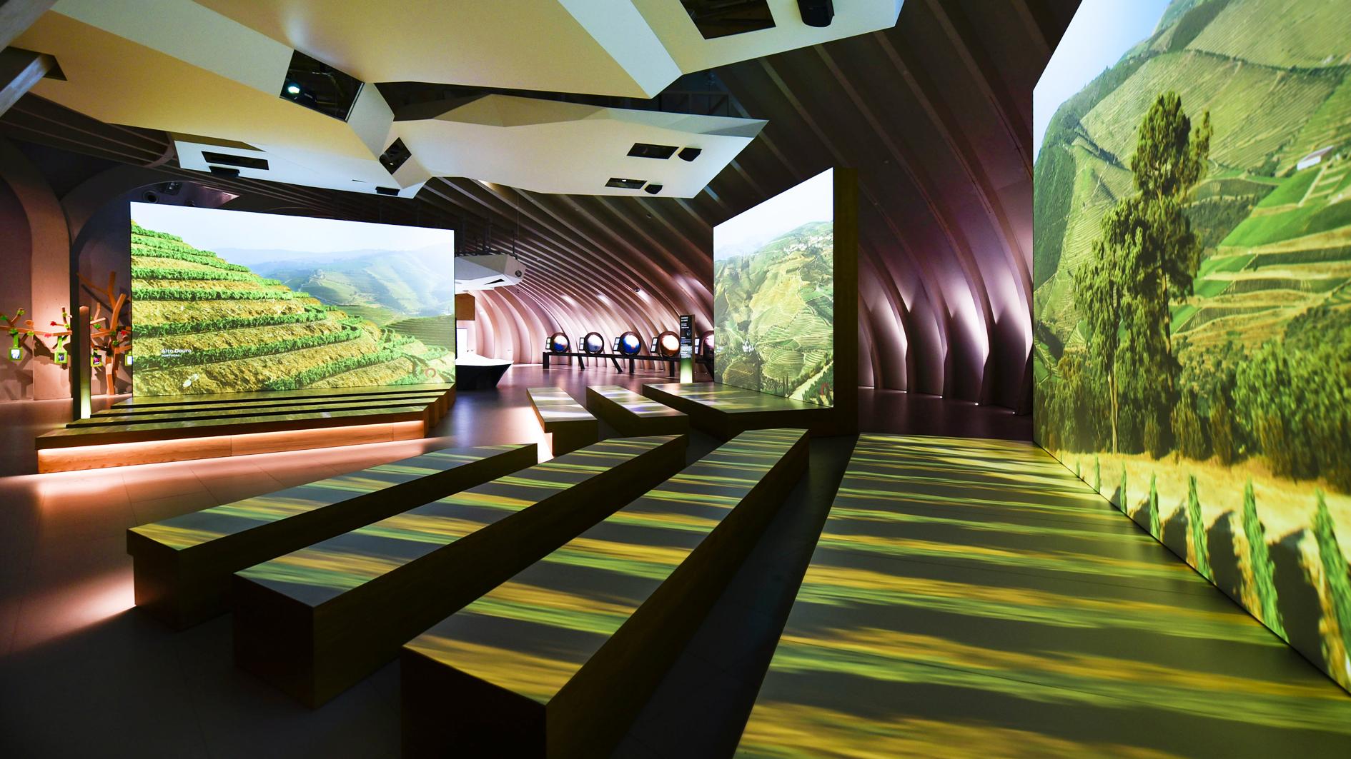 The wine wonderland