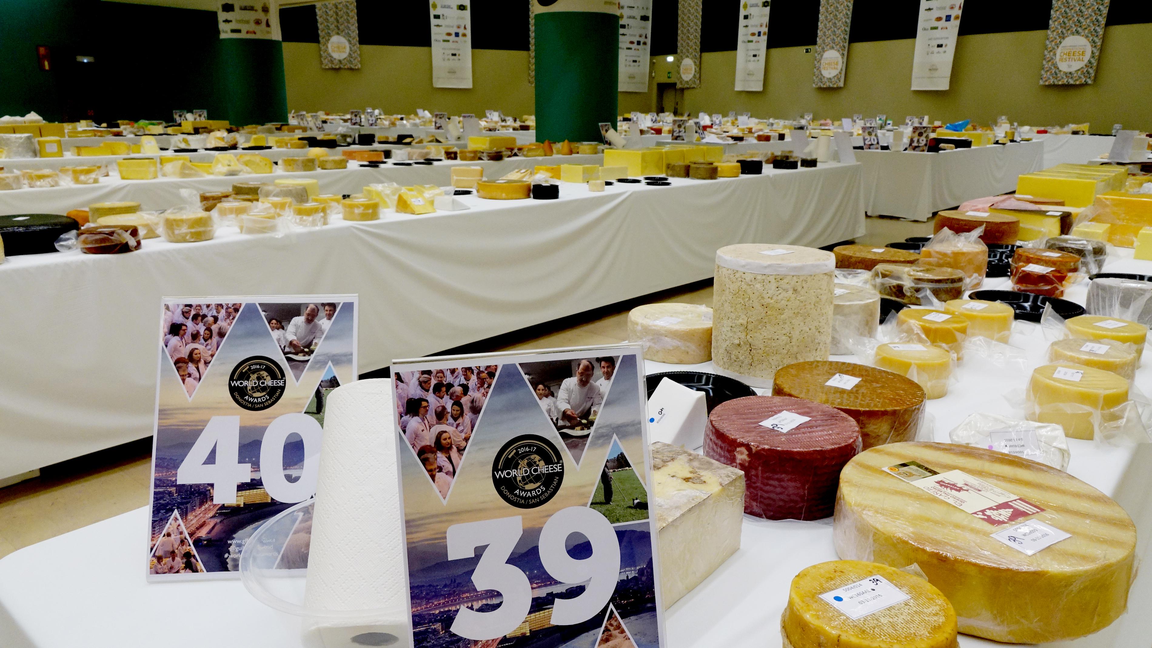 The best cheese in the world