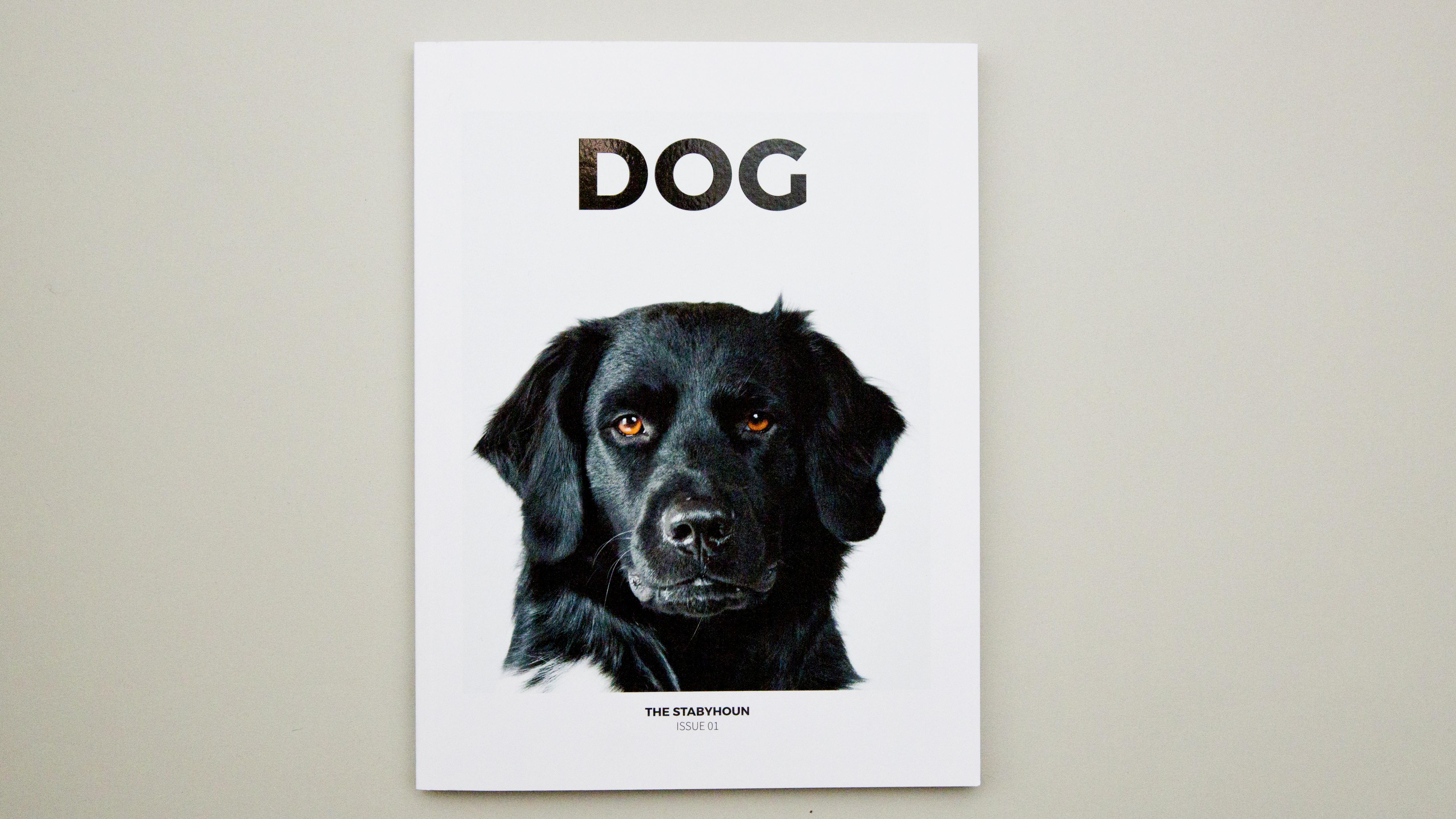Dogs, Fantastic Man, and Montevideo