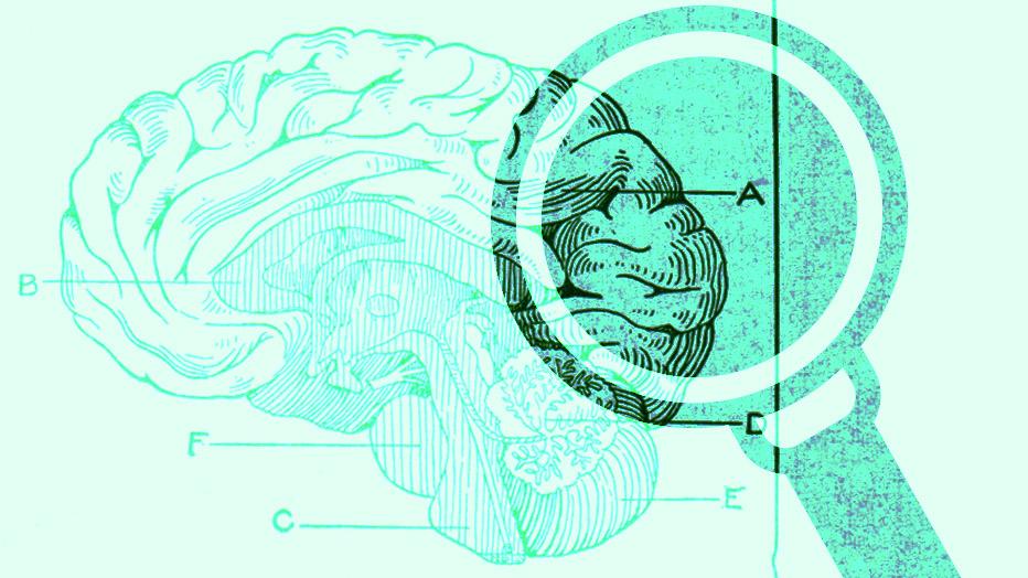 Open minds