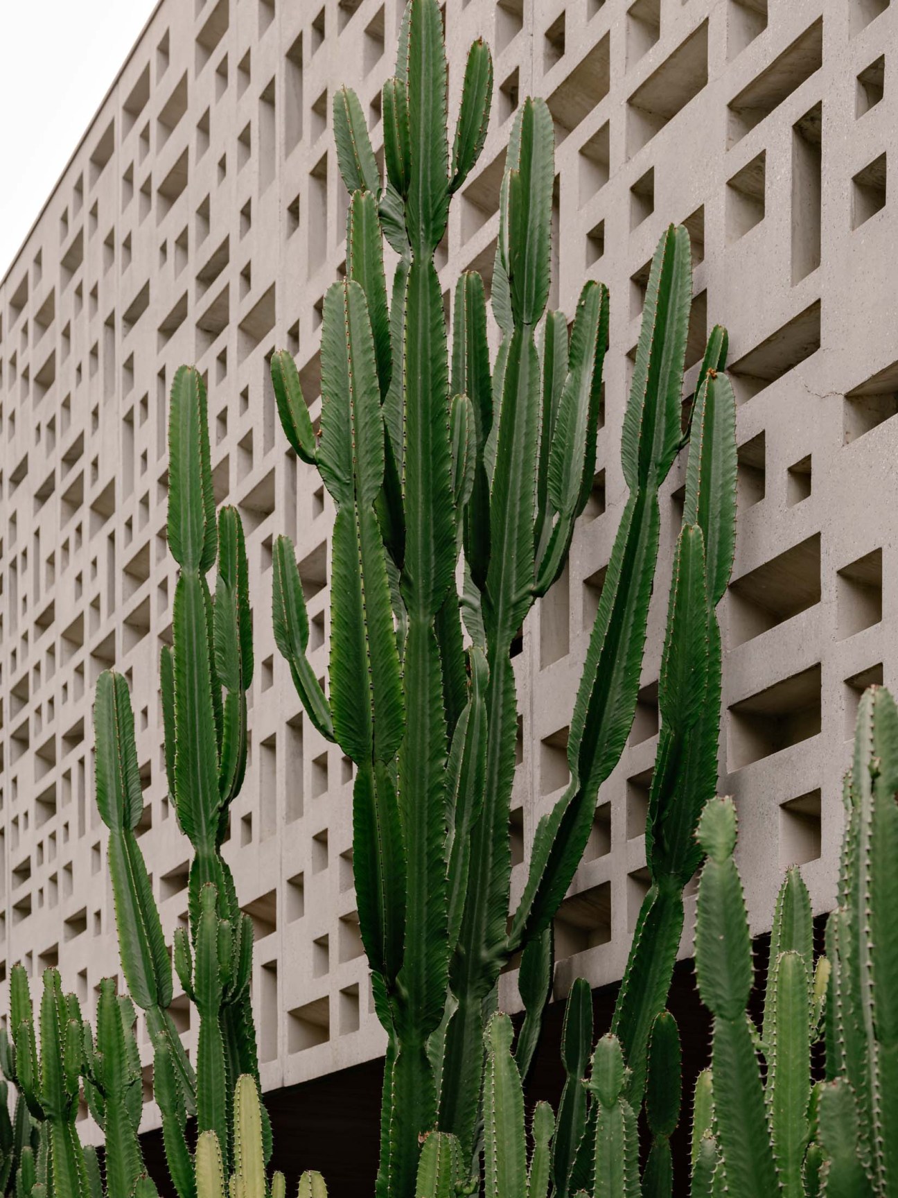 Flora is the focus of Casa M3
