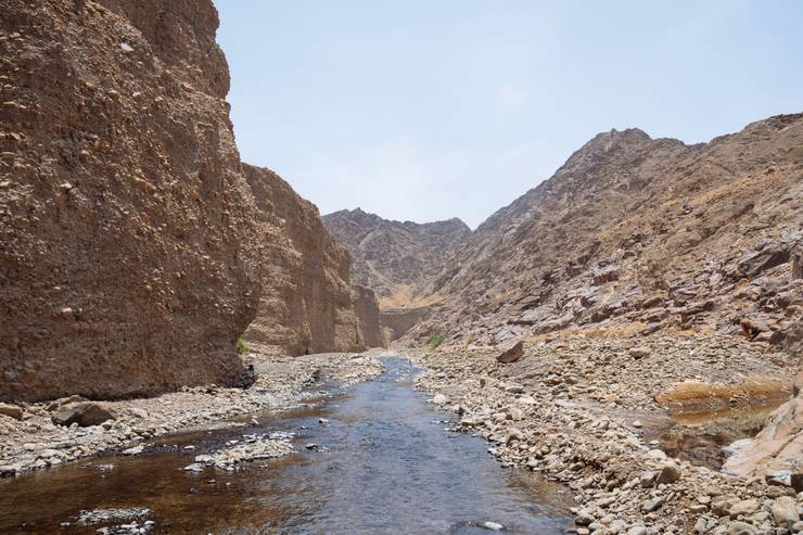 Wadi Wurayah National Park.