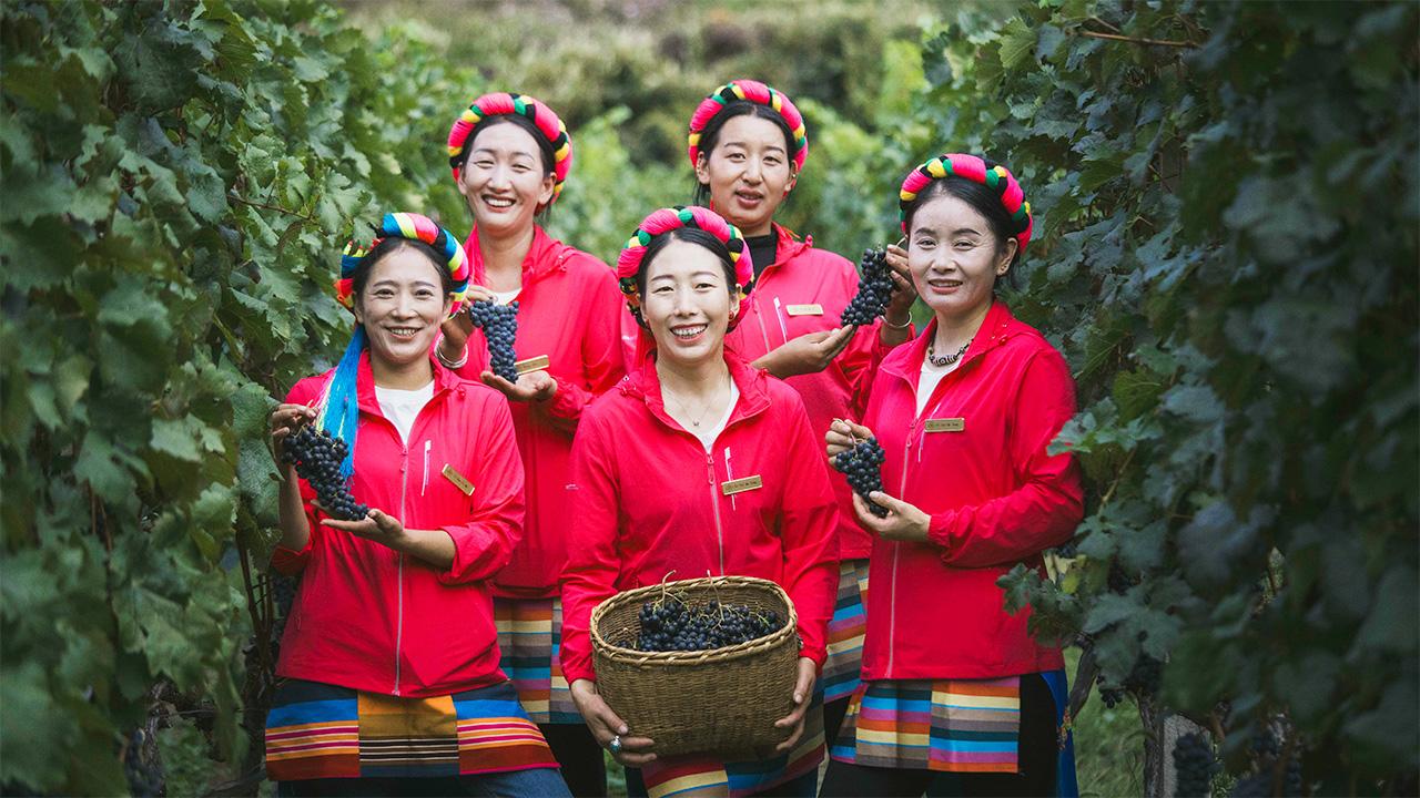 Food Neighbourhoods #428: Winemaking in Yunnan Province, China