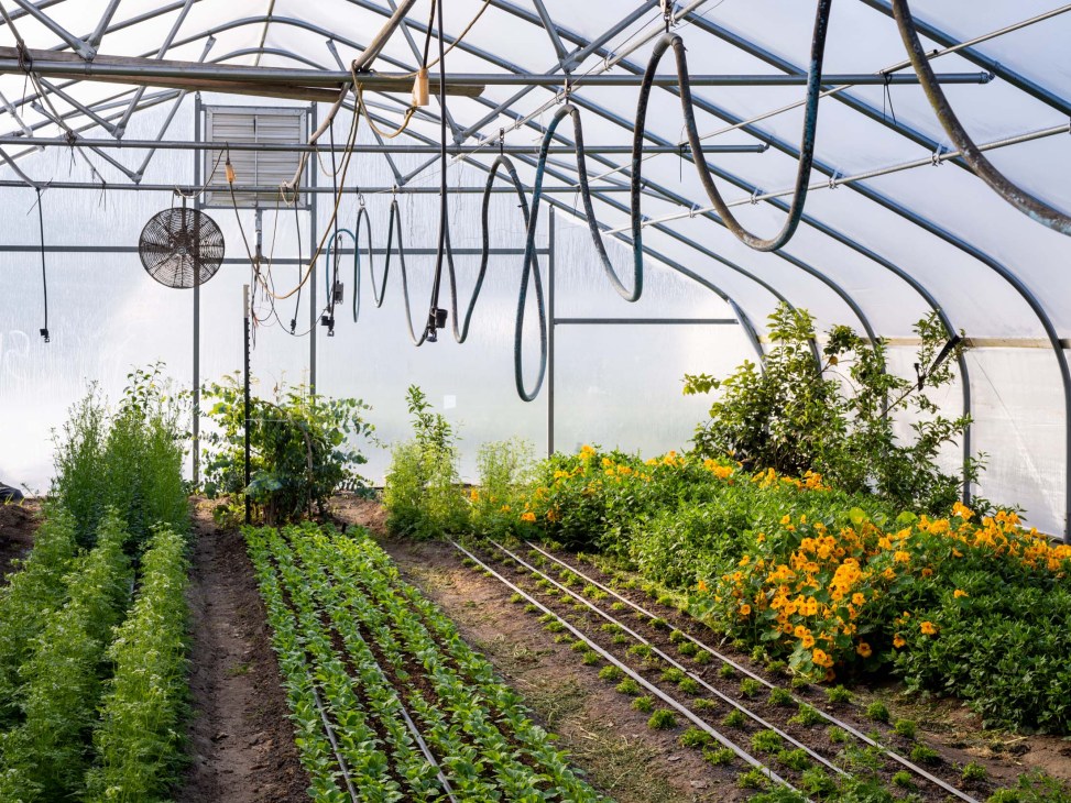 Evan Chender’s farm