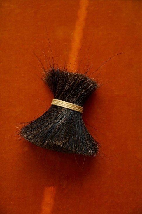 Bundle of boar bristles