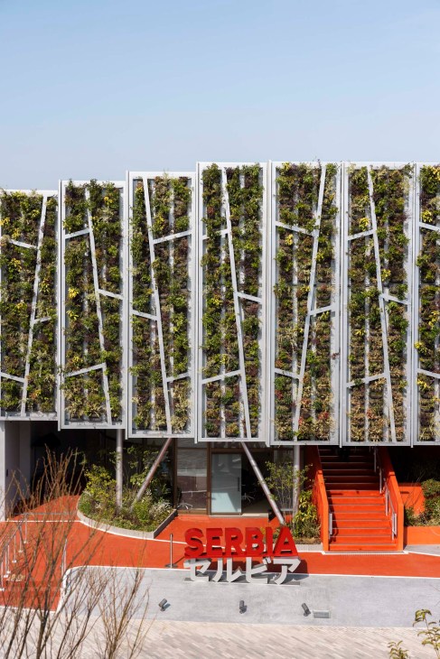Serbia’s “floating forest”