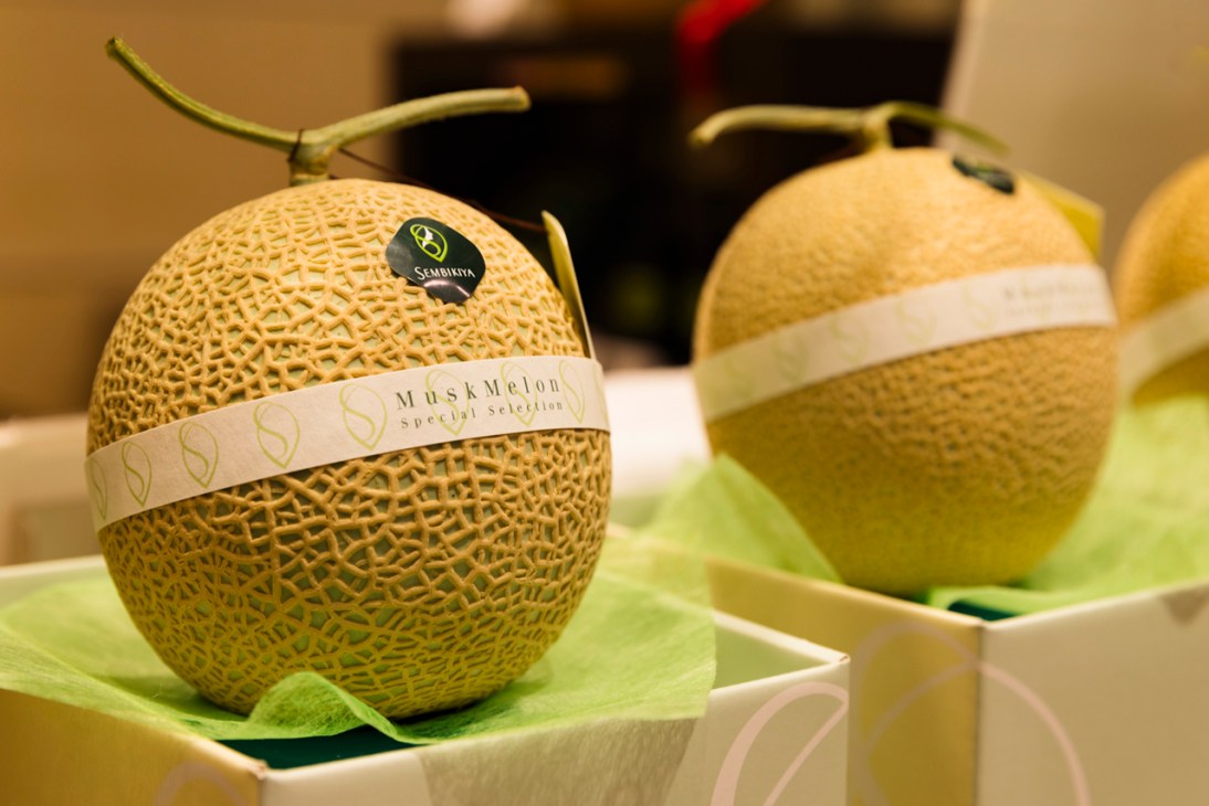 Musk melon