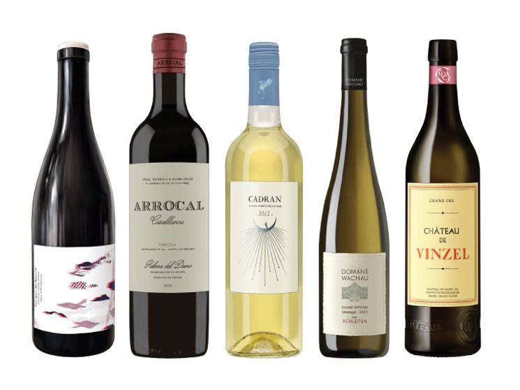 Raise a glass to the year ahead with our 12 best wines of the season