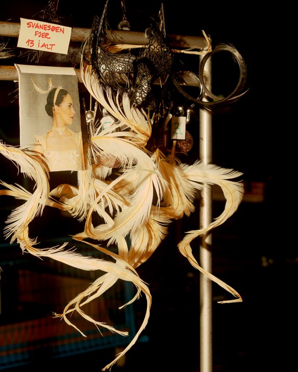 Feather headpieces
