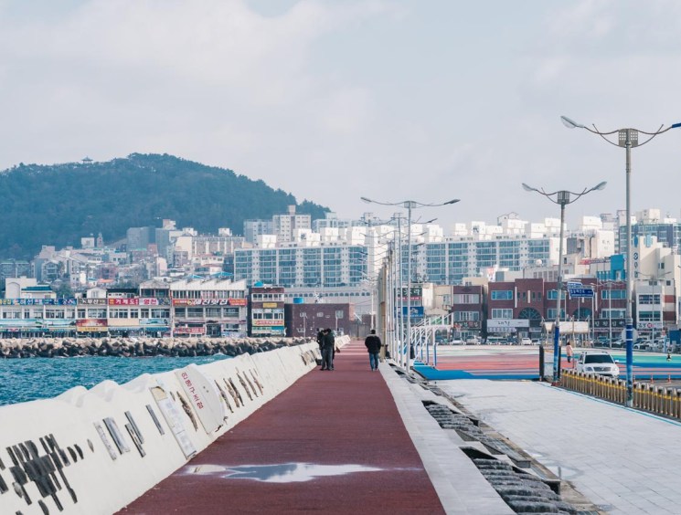 Jeju Island, South Korea, 17 Jan 2018.