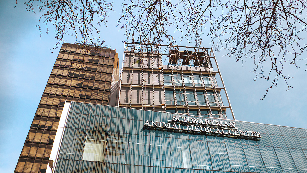 How healthcare-facility design can improve the lives of all city dwellers