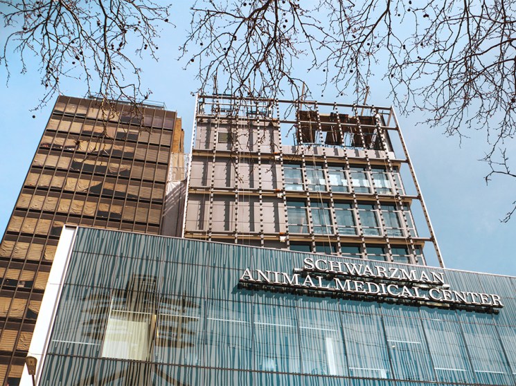 How healthcare-facility design can improve the lives of all city dwellers