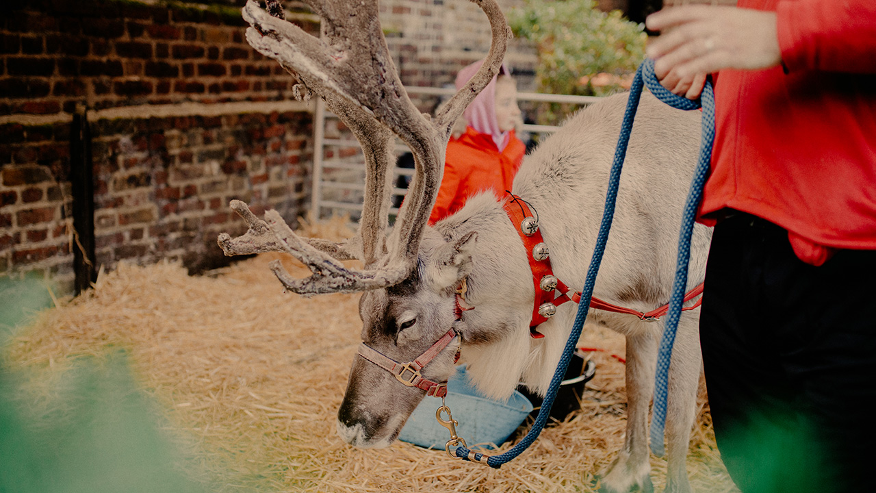 French spies, British olive oil and Monocle’s London Christmas Market
