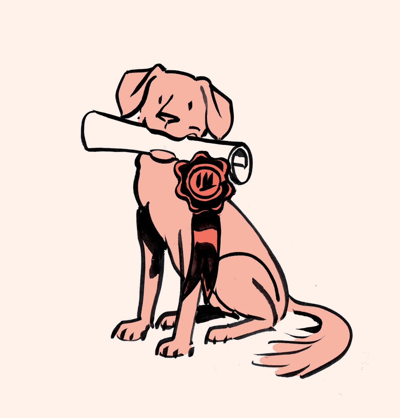 Urban pet ownership and waste management