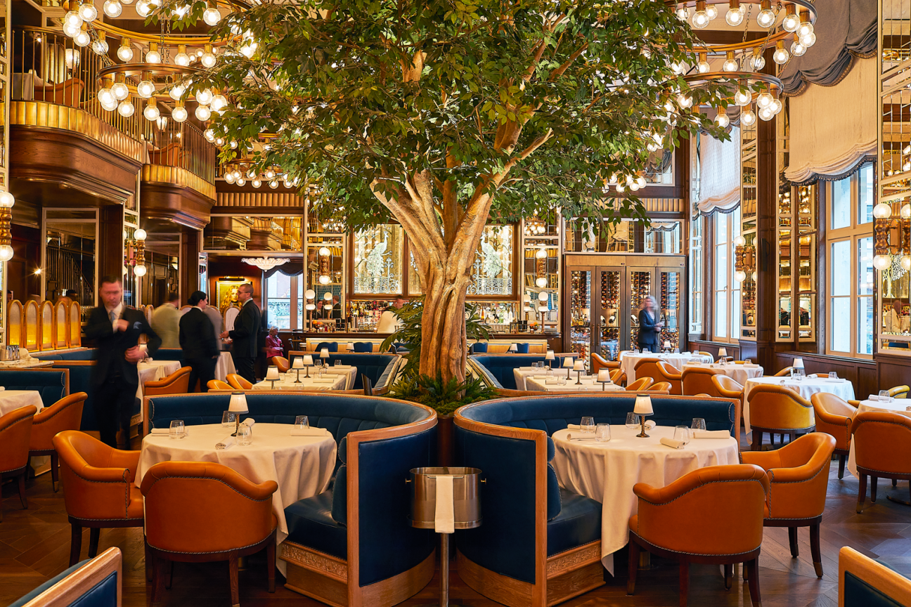 The Fifth Avenue Hotel Cafe Carmellini interior tree bulb lights blue semi circular booth seats orange armchairs white tablecloths balconies with gold railing high ceilingss mirrored walls