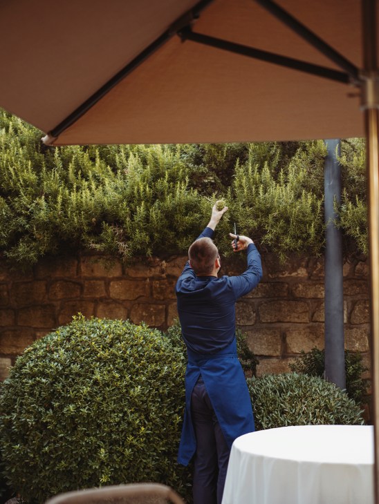 Keeping in trim at the Domaine de Baumanière