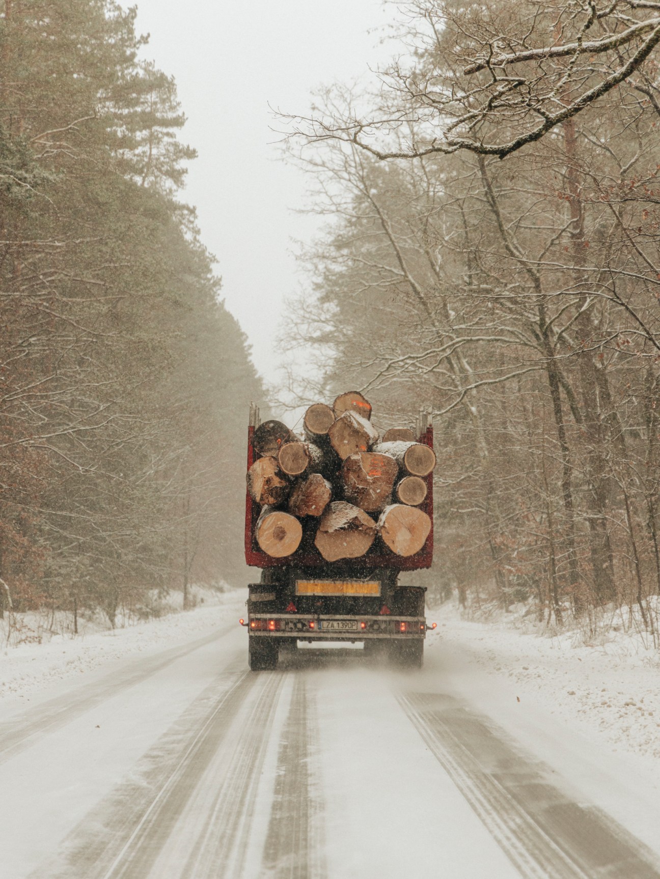 Lorry transporting fresh lumber on a snowy road