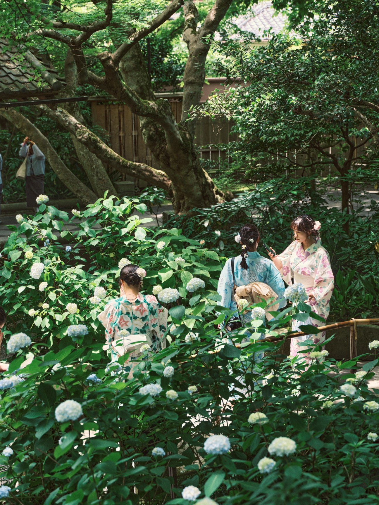 Meigetsuin temple in Kita-Kamakura