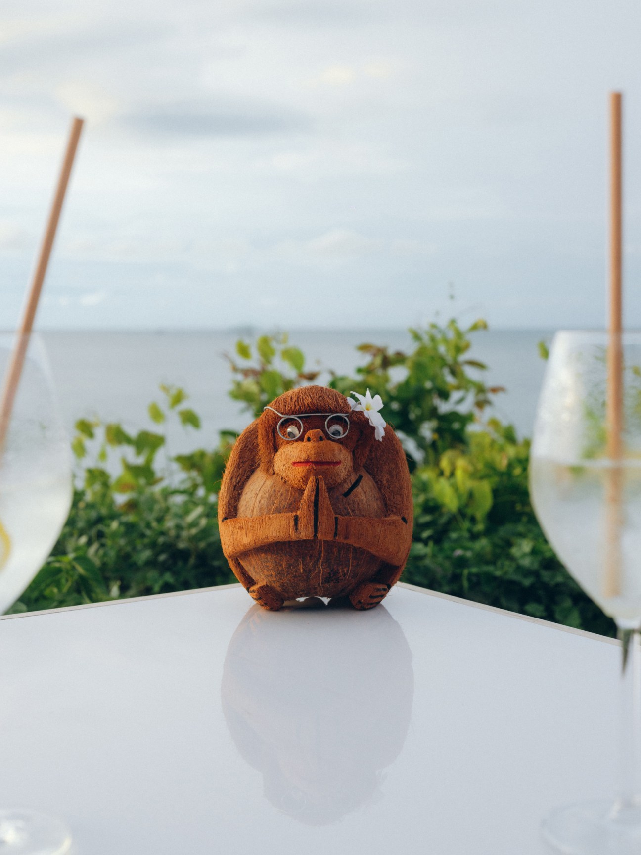 Wild monkey on Koh Samui island