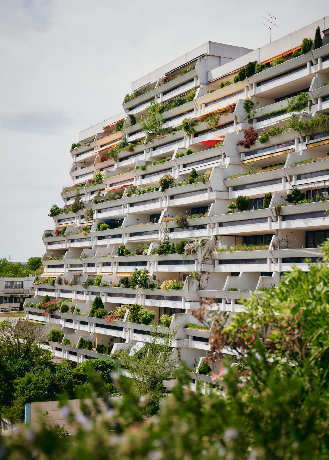 Terraced housing buildings at Olydorf