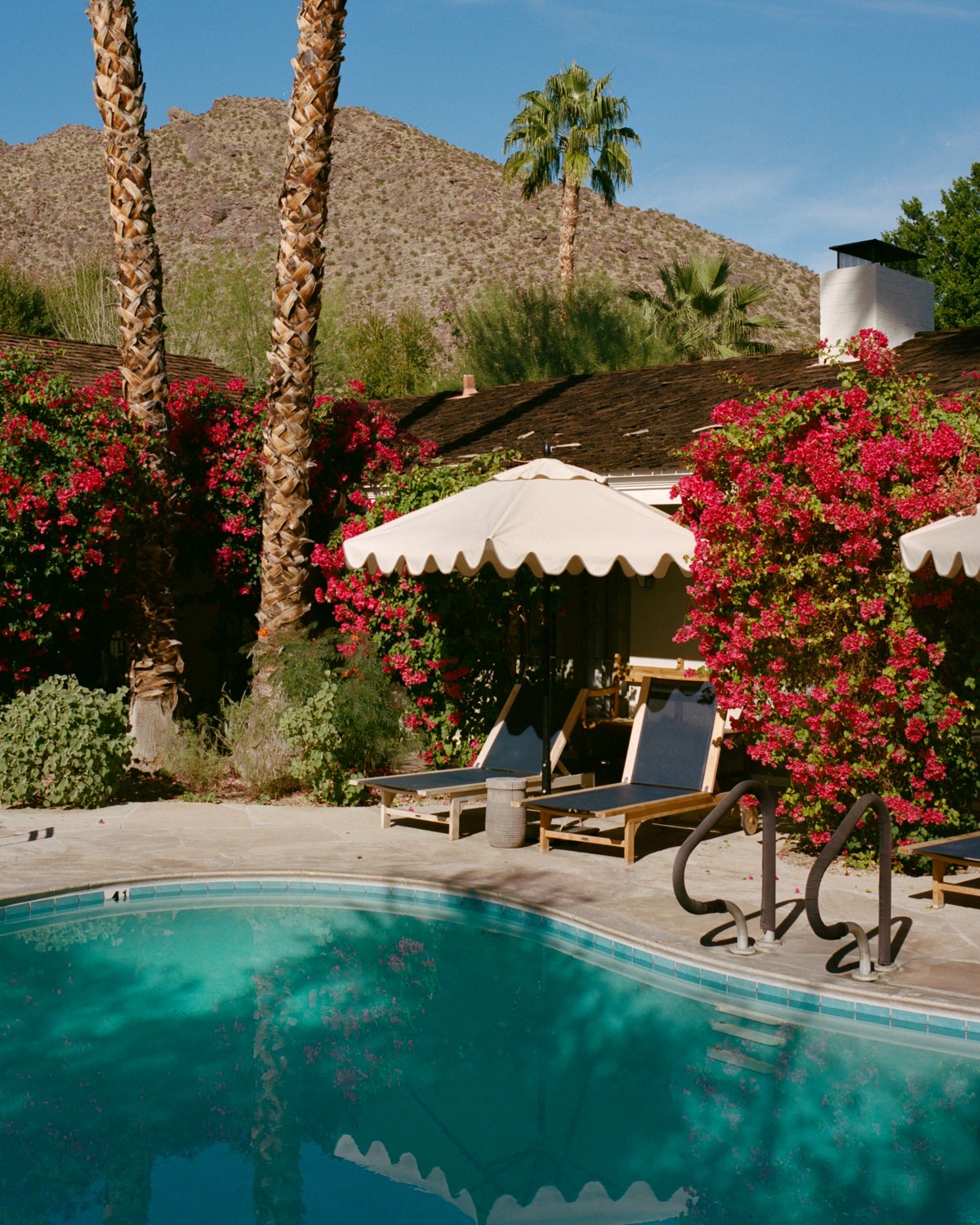 Poolside perch