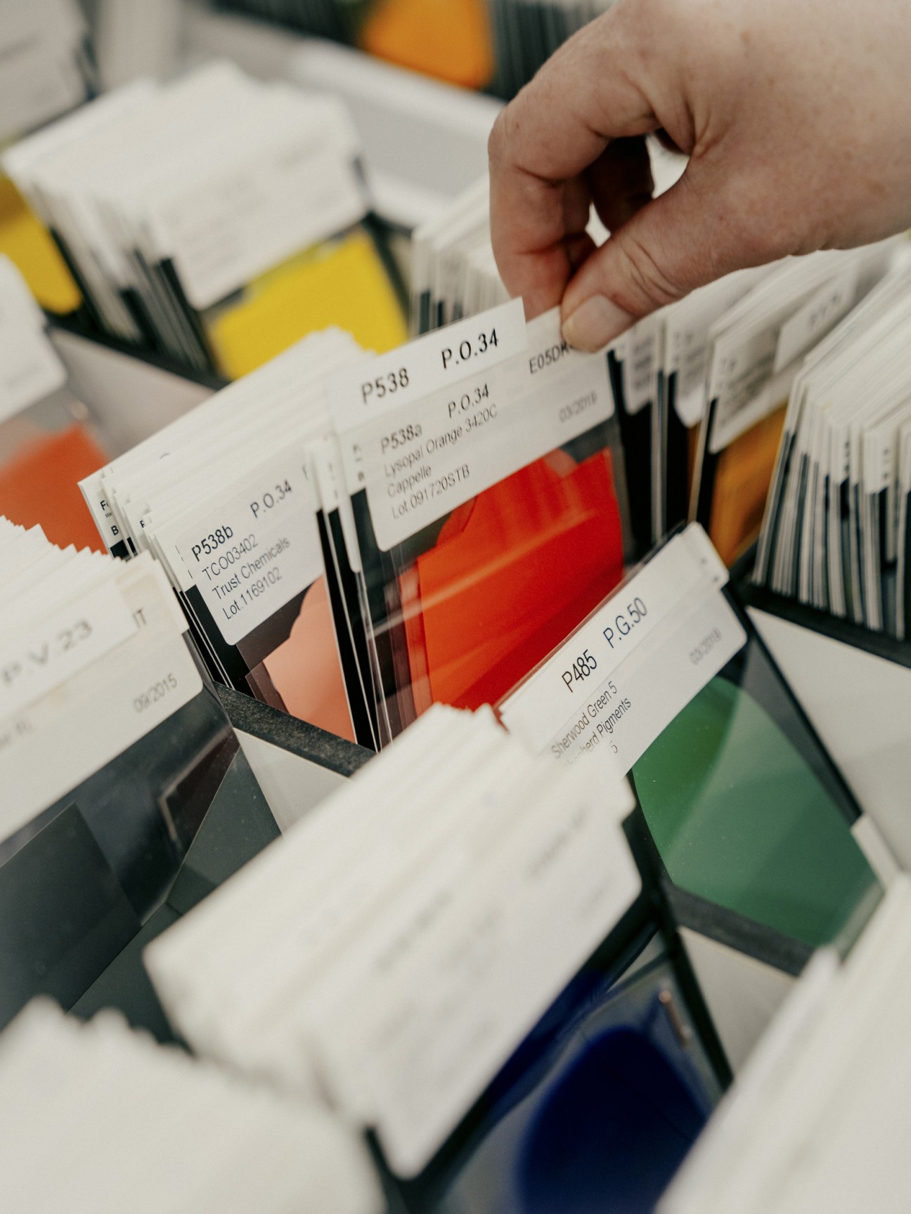 Paint samples in the Colour Room