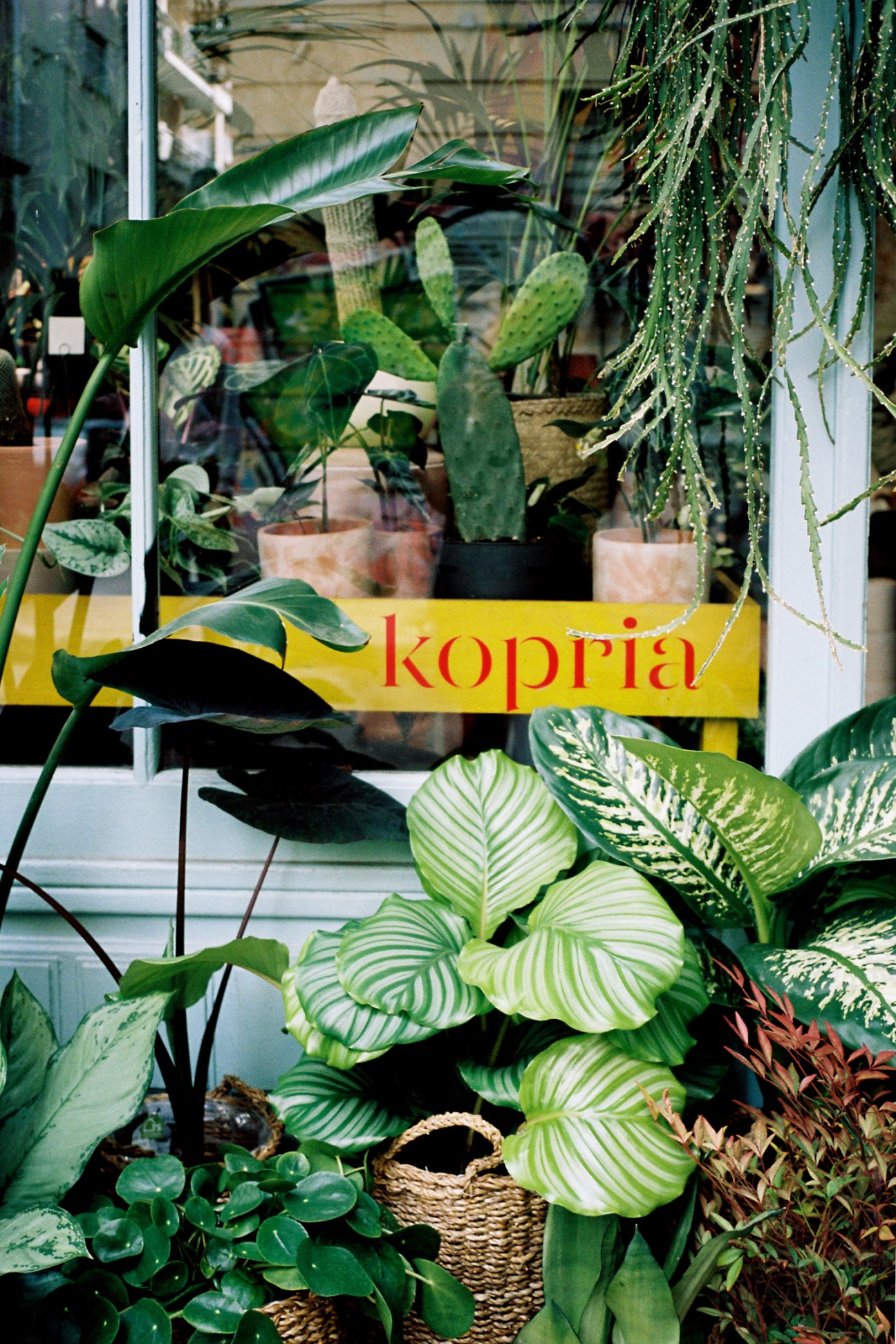 Kopria Florist storefront