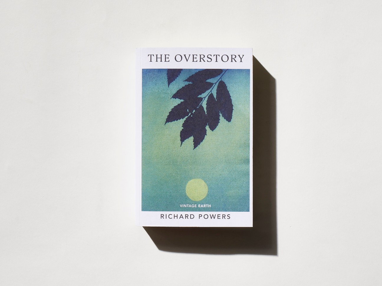 ‘The Overstory’ by Richard Powers 