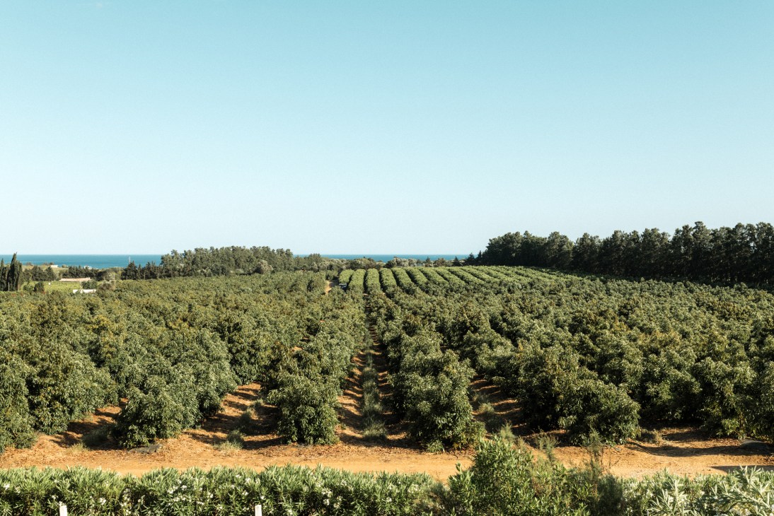 View of the working farm area