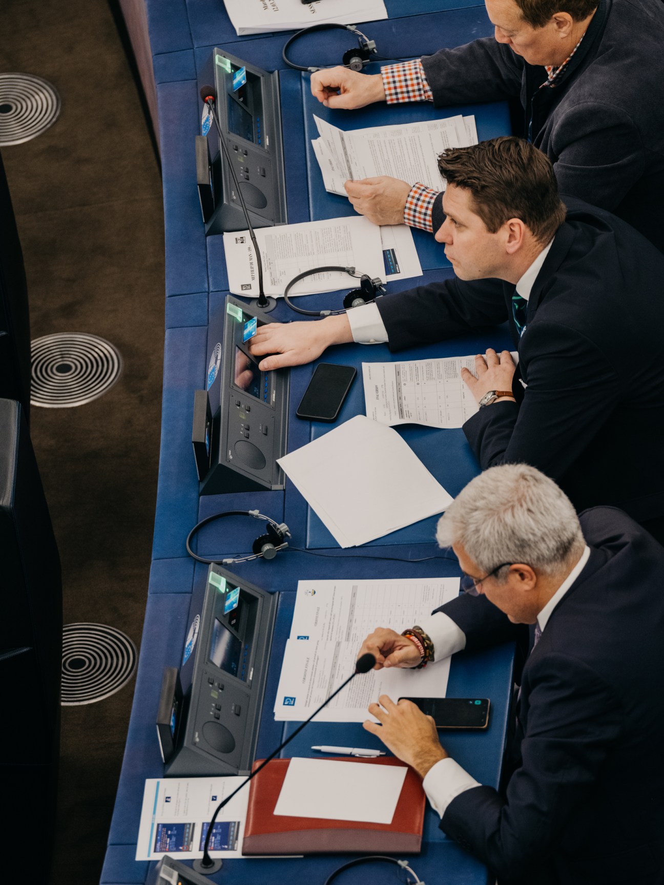 In the Hemicycle