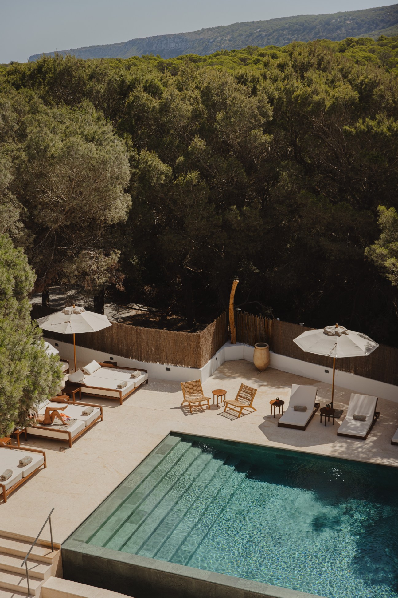 Teranka pine forest behind a fenced pool with white sun loungers and umbrellas