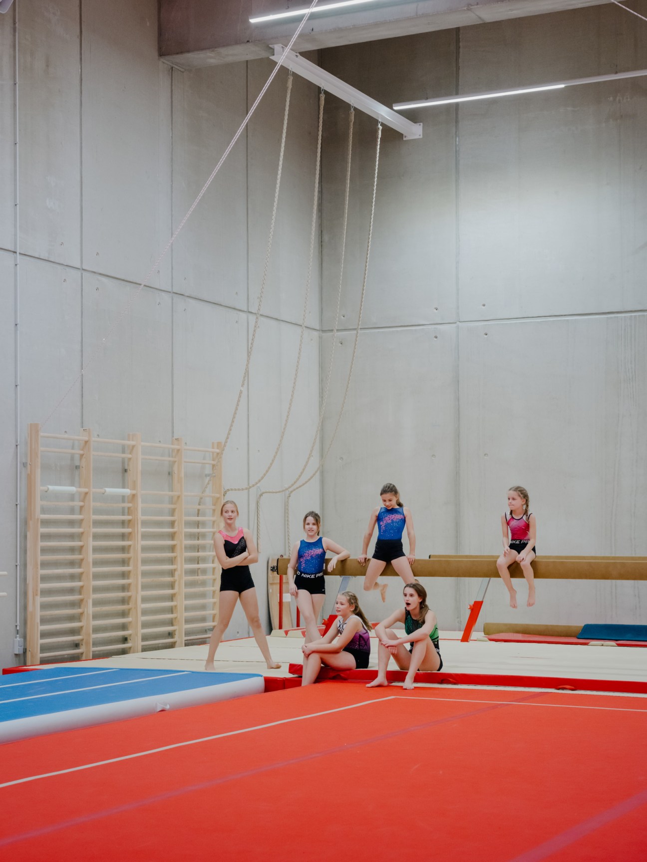 young girls gymnastics class