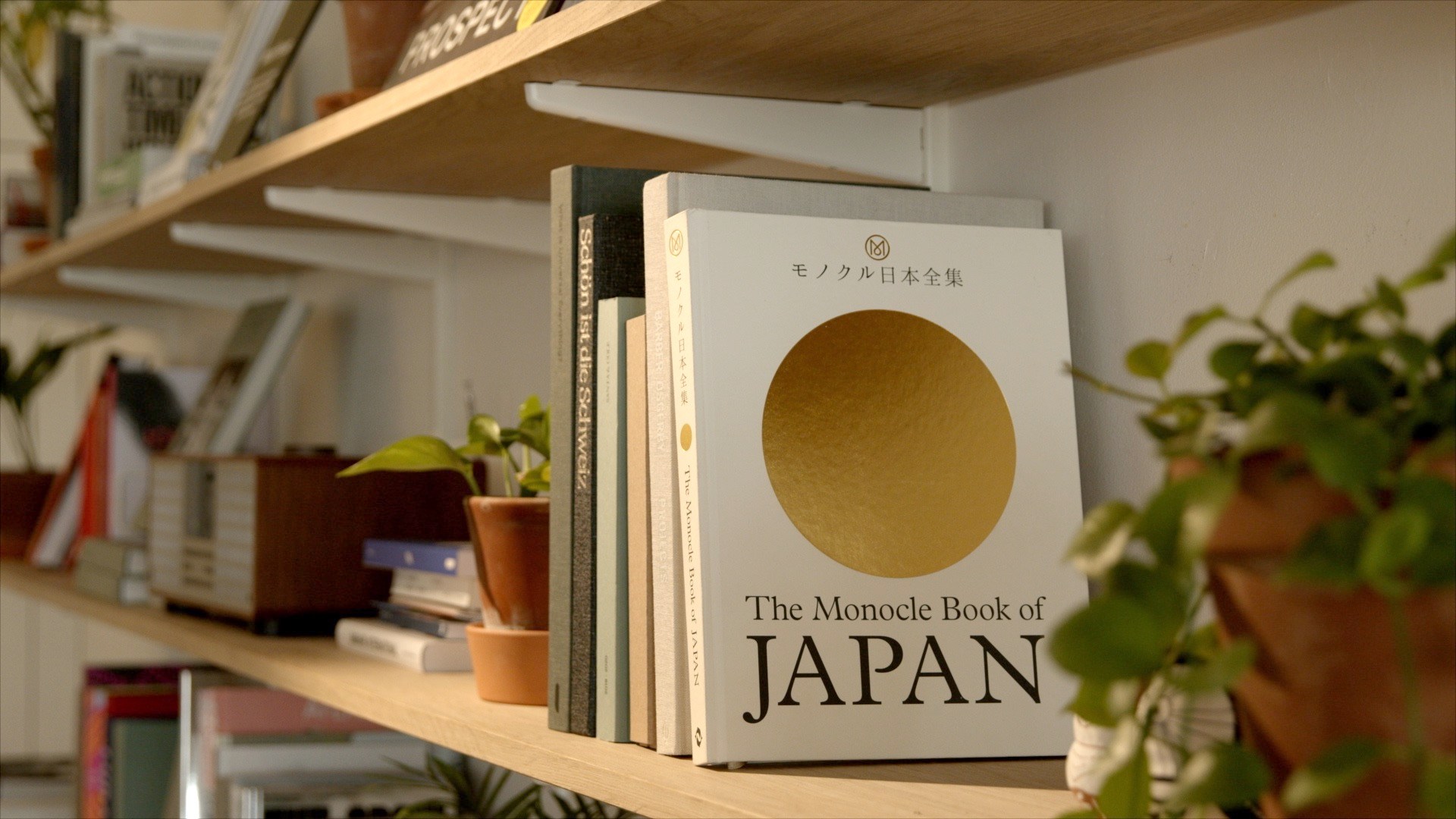 Book on the shelf