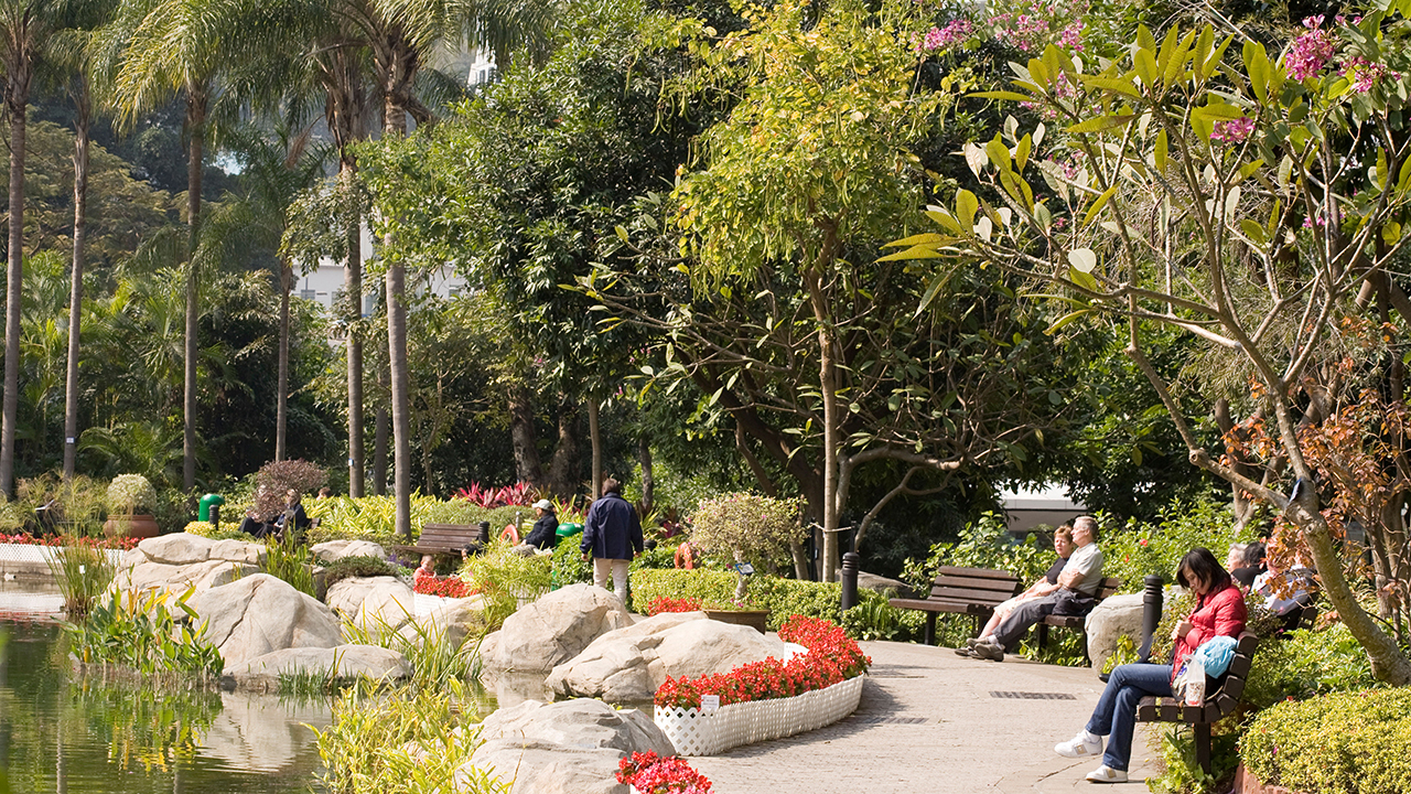 Tall Stories 275: Sitting-Out Areas, Hong Kong