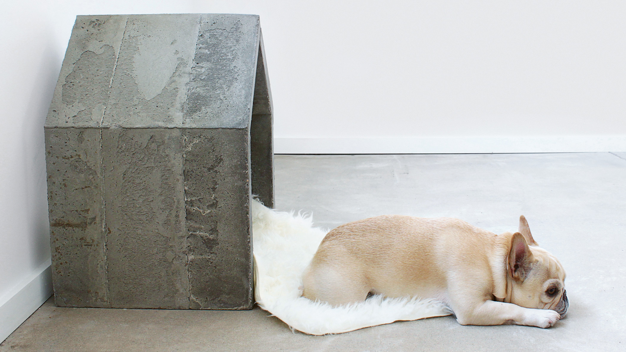Architecture for animals