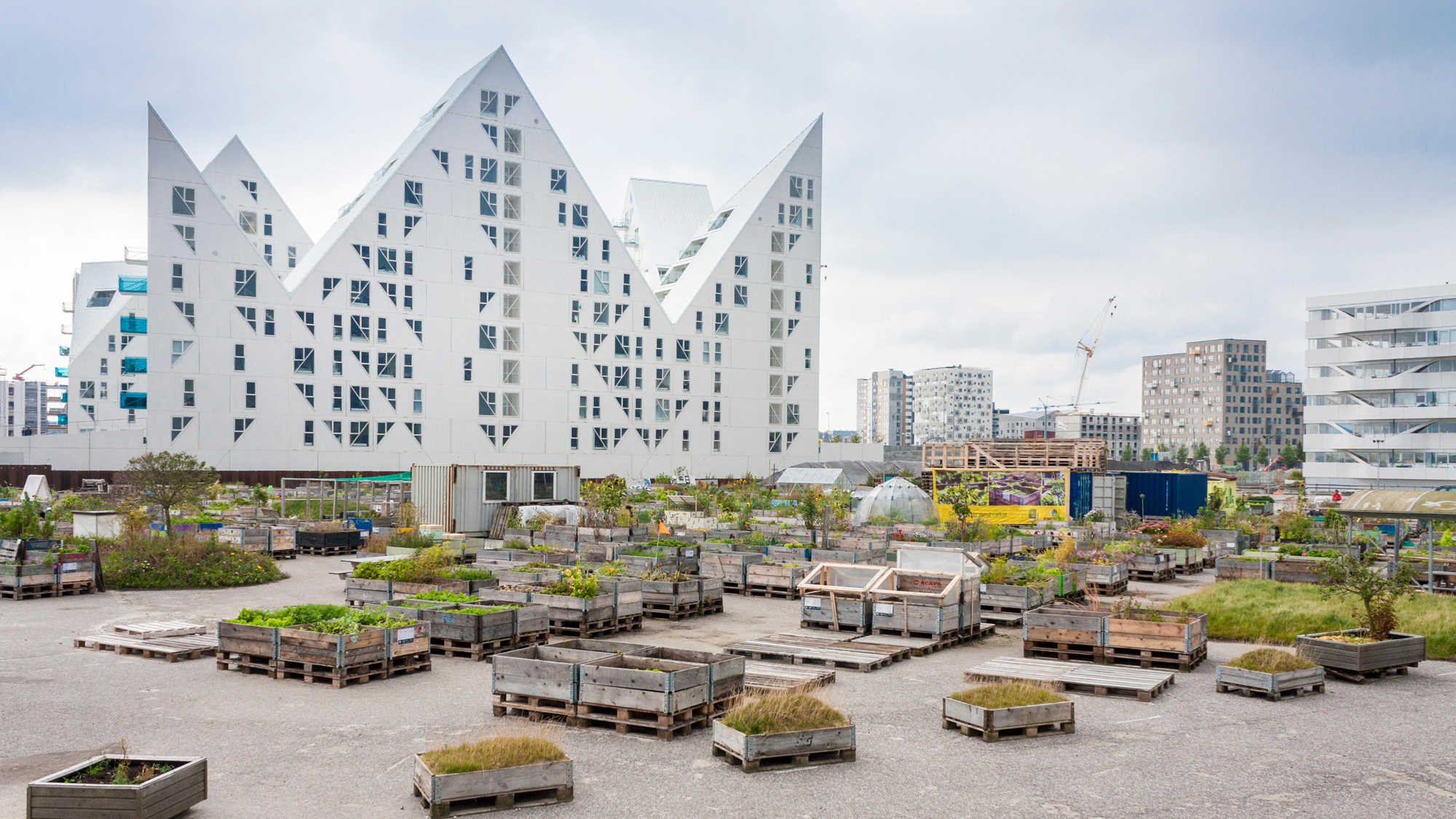 The best of The Urbanist 2017