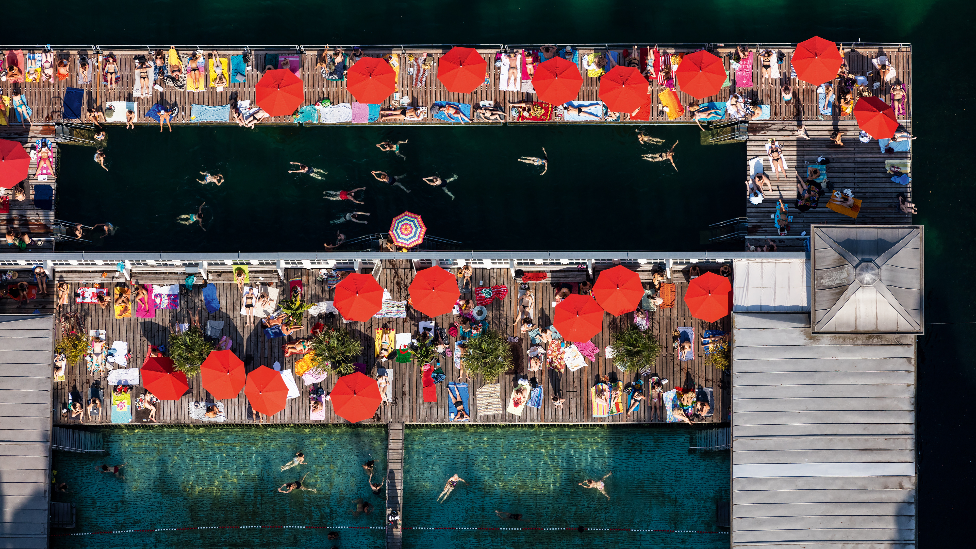Extra: Pool shark – a history of the lido