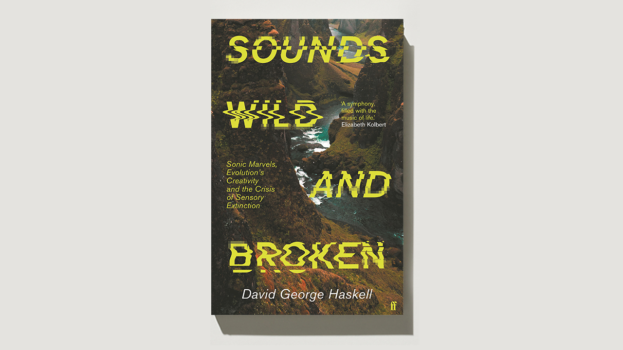 Monocle Reads: ‘Sounds Wild and Broken’