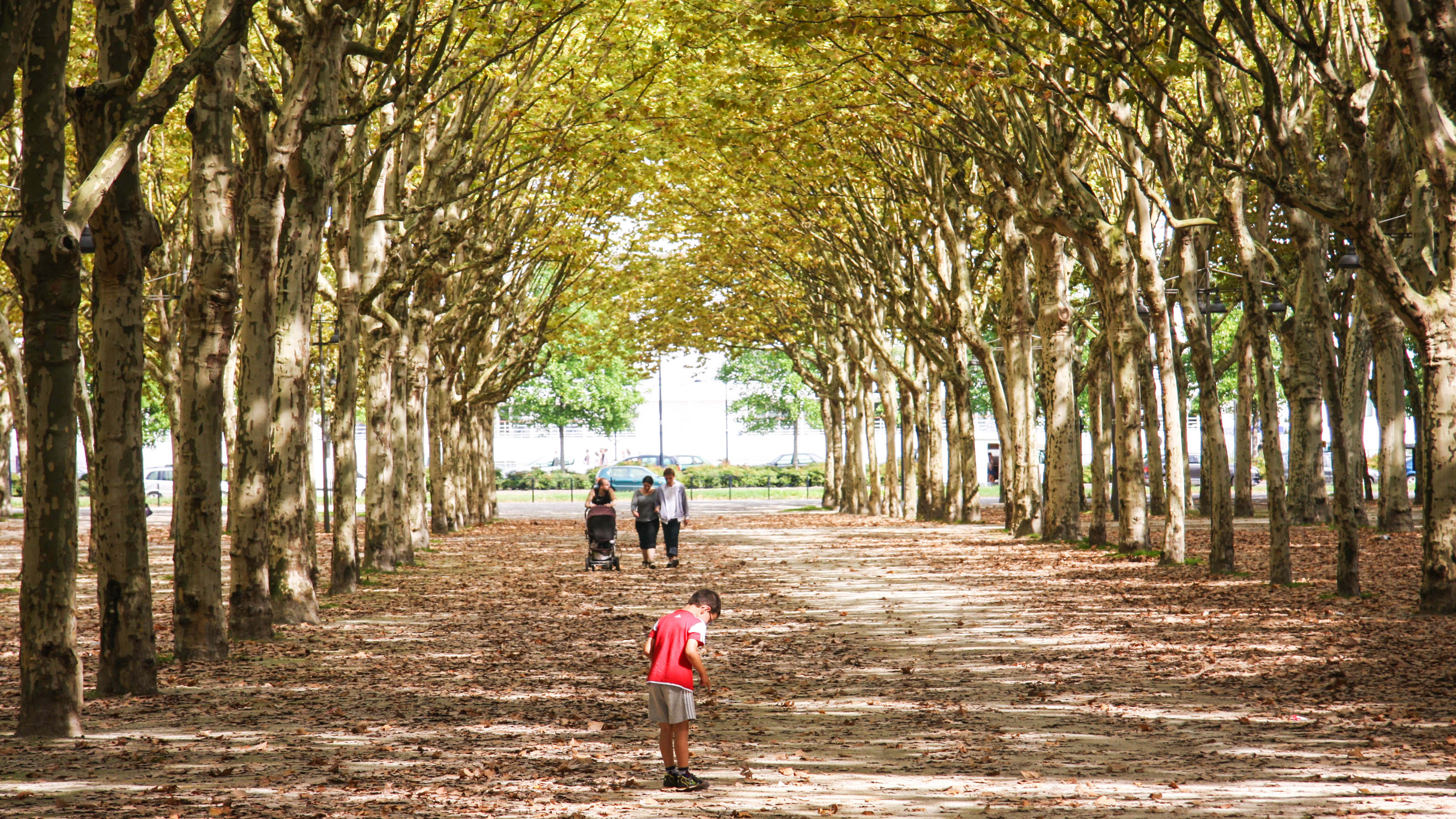 Food Neighbourhoods 128: Bordeaux, Chartrons
