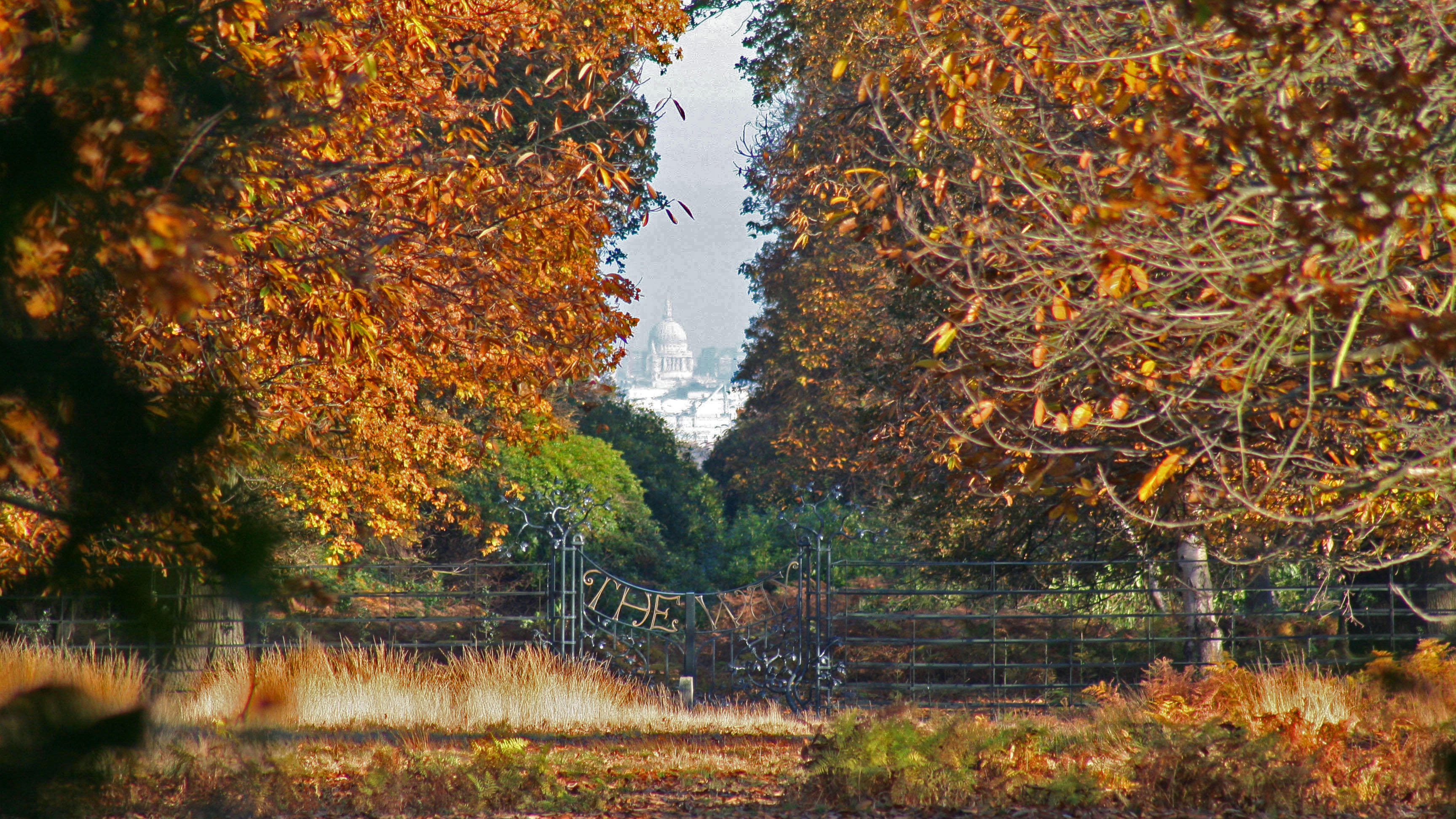 Tall Stories 29: London’s protected views