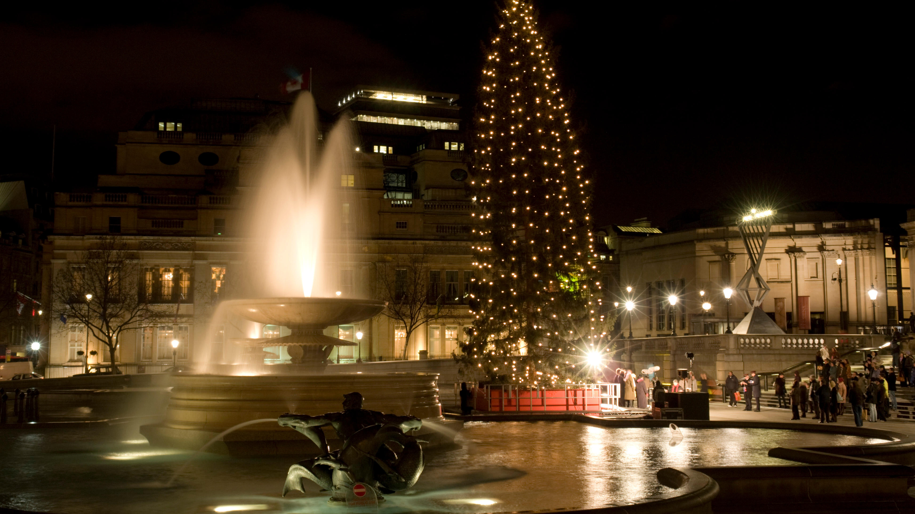 Tall Stories 35: Trafalgar Square’s Christmas tree
