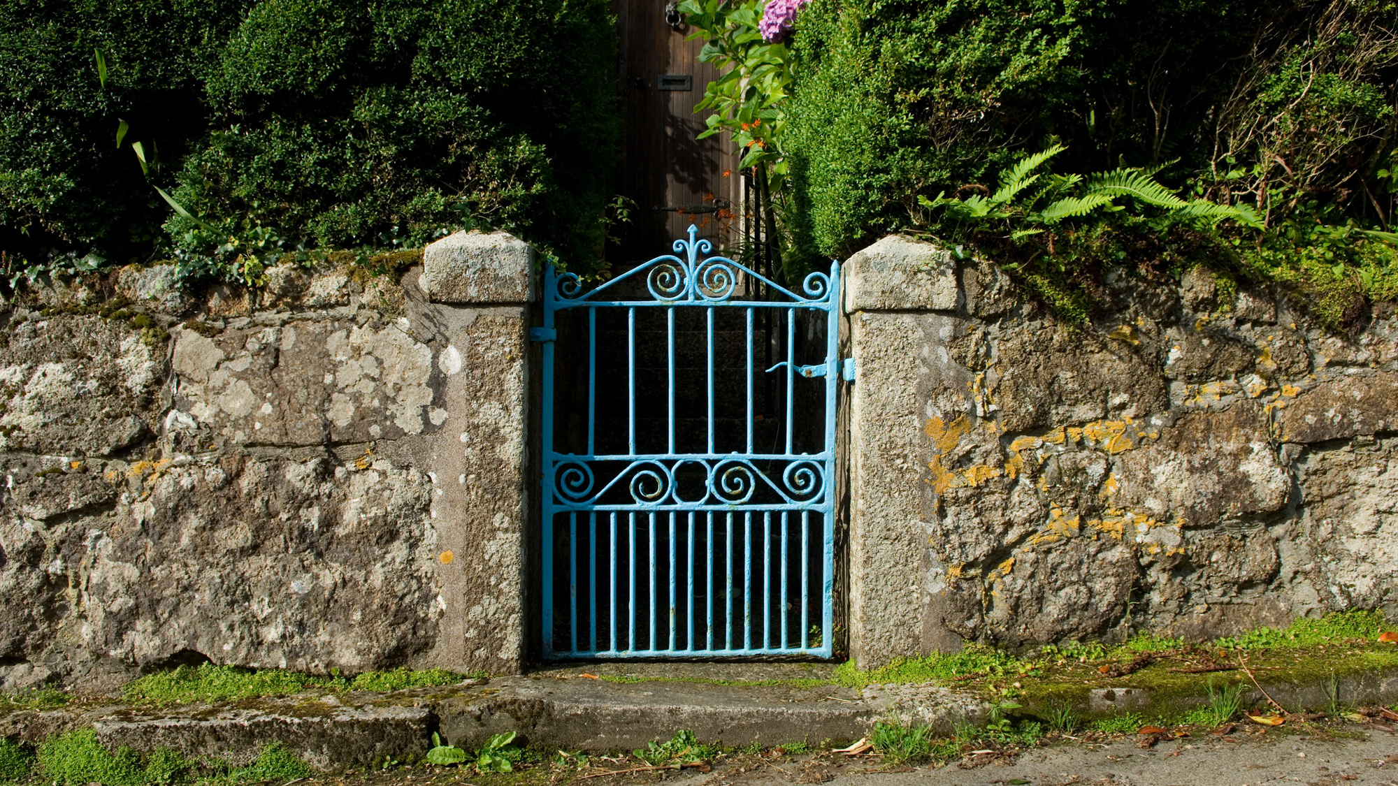 Tall Stories 55: garden gate