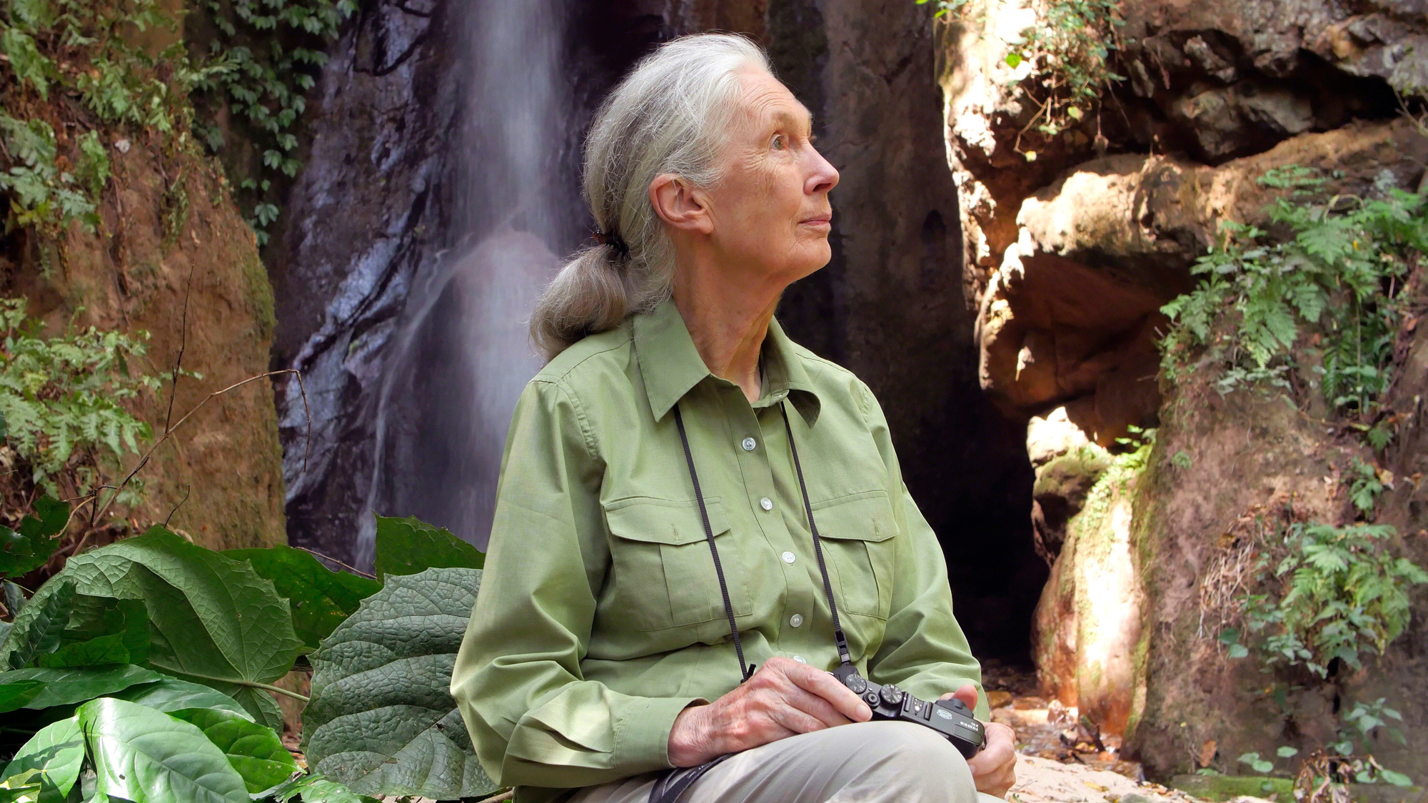 Dame Jane Goodall