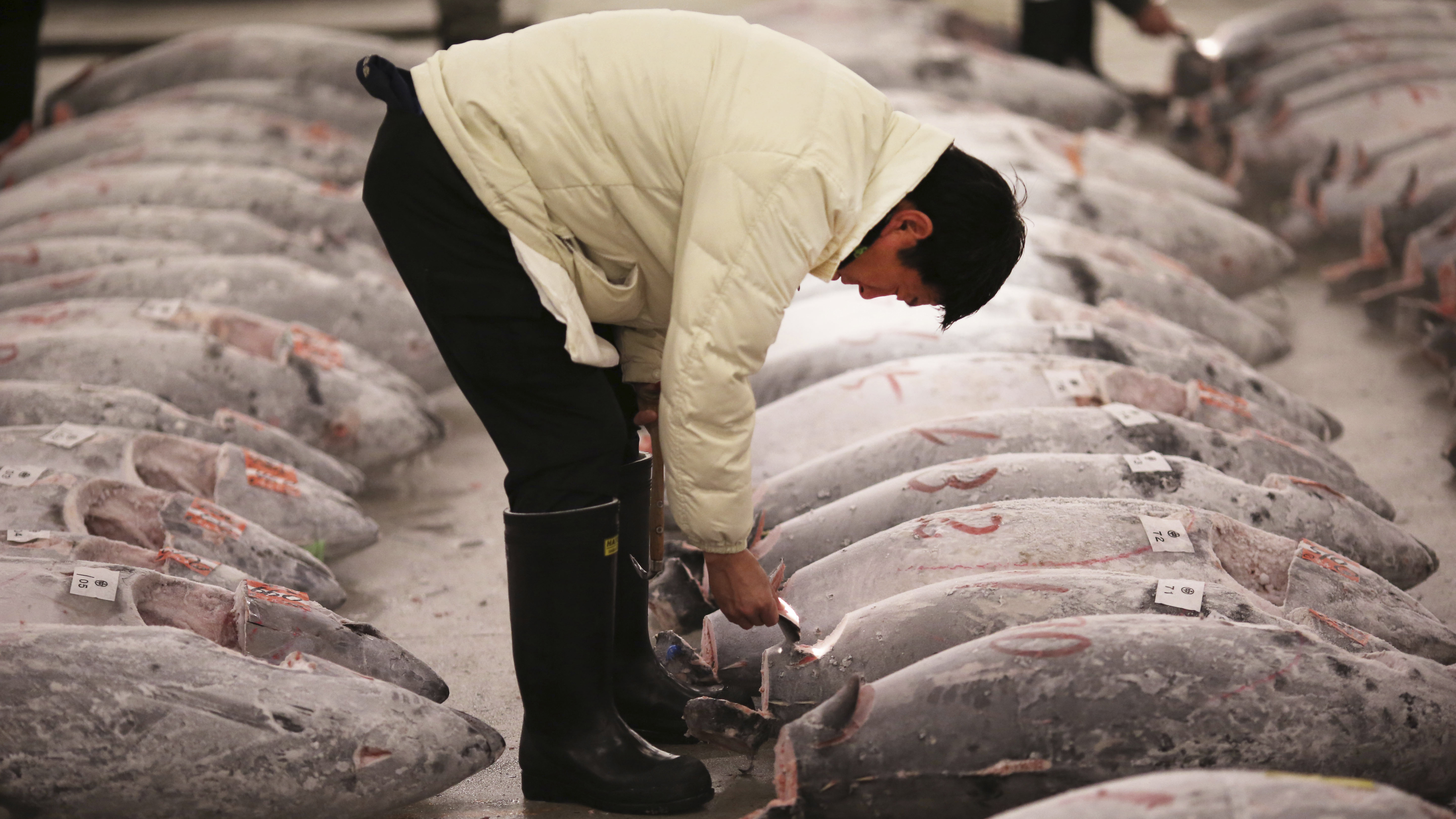 Food neighbourhoods 4: Tsukiji fish market